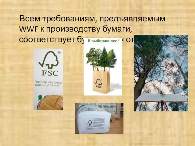 Всем требованиям, предъявляемым WWF к производству бумаги, соответствует бумага с логотипом FSC.