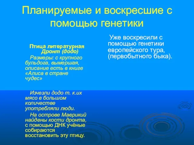 Планируемые и воскресшие с помощью генетики Птица литературная Дронт (додо) Размеры: с