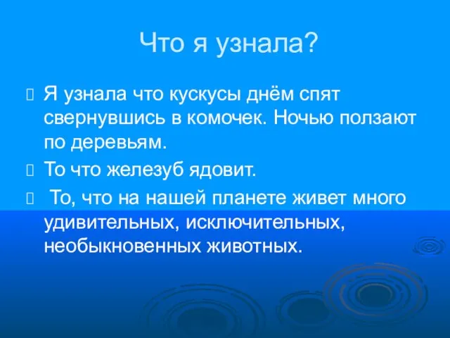 Что я узнала? Я узнала что кускусы днём спят свернувшись в комочек.