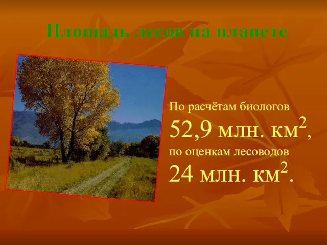 Площадь лесов на планете По расчётам биологов 52,9 млн. км2, по оценкам лесоводов 24 млн. км2.