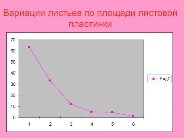 Вариации листьев по площади листовой пластинки