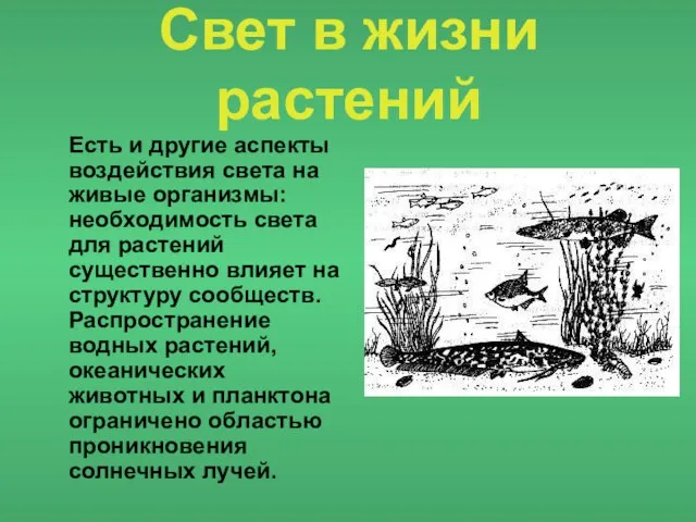 Свет в жизни растений Есть и другие аспекты воздействия света на живые