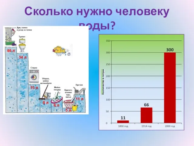 Сколько нужно человеку воды?