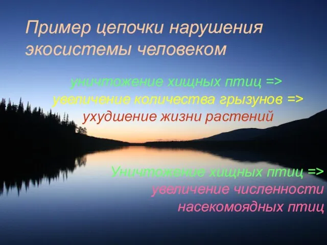 Пример цепочки нарушения экосистемы человеком уничтожение хищных птиц => увеличение количества грызунов