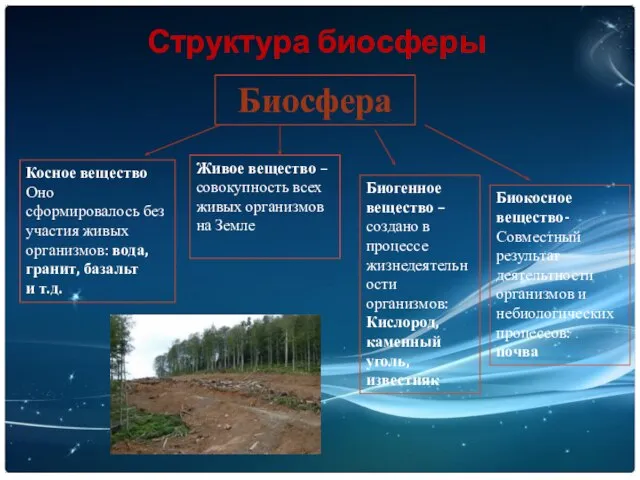 Структура биосферы Биосфера Косное вещество Оно сформировалось без участия живых организмов: вода,