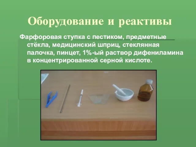 Оборудование и реактивы Фарфоровая ступка с пестиком, предметные стёкла, медицинский шприц, стеклянная