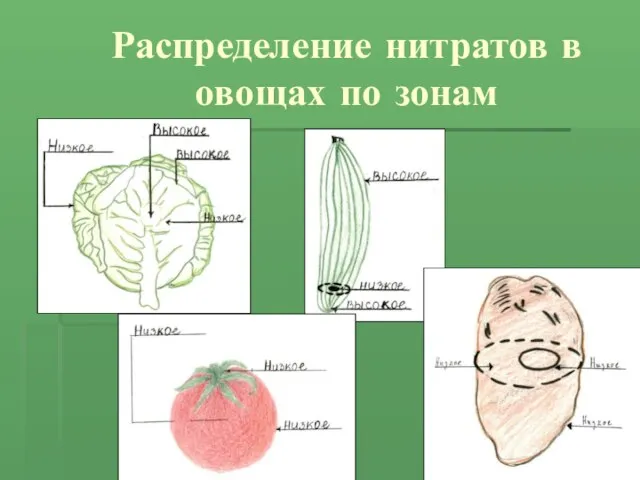 Распределение нитратов в овощах по зонам