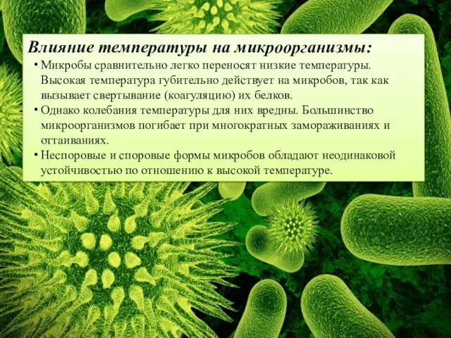 Влияние температуры на микроорганизмы: Микробы сравнительно легко переносят низкие температуры. Высокая температура