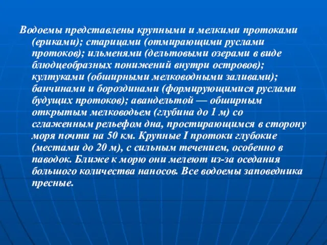 Водоемы представлены крупными и мелкими протоками (ериками); старицами (отмирающими руслами протоков); ильменями