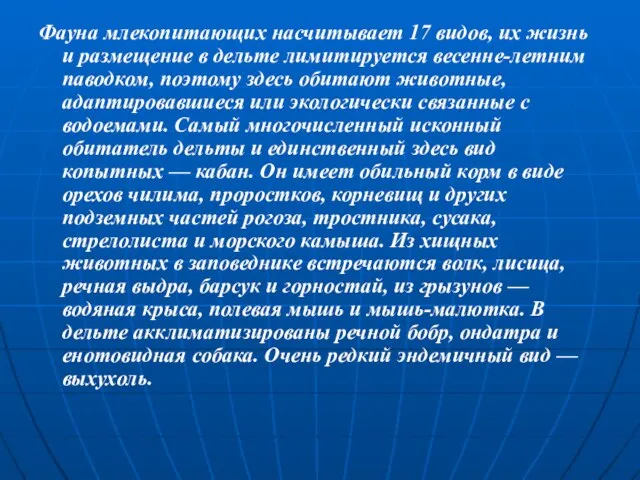 Фауна млекопитающих насчитывает 17 видов, их жизнь и размещение в дельте лимитируется