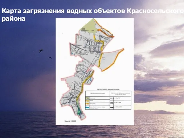 Карта загрязнения водных объектов Красносельского района