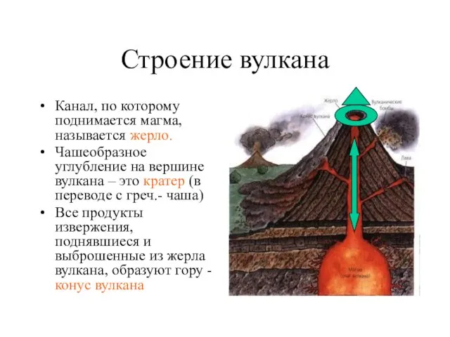 Строение вулкана Канал, по которому поднимается магма, называется жерло. Чашеобразное углубление на