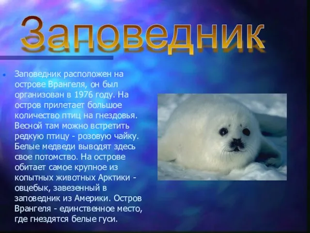 Заповедник расположен на острове Врангеля, он был организован в 1976 году. На