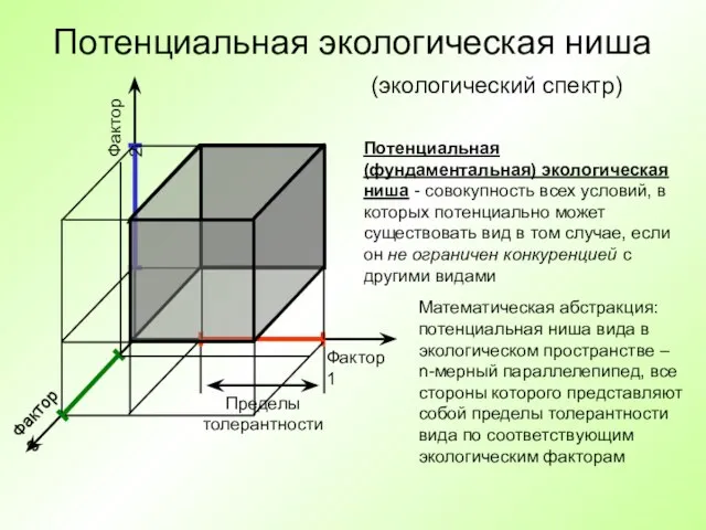 Потенциальная экологическая ниша Фактор 1 Фактор 2 Фактор 3 Потенциальная (фундаментальная) экологическая