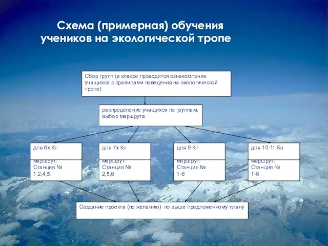 Схема (примерная) обучения учеников на экологической тропе