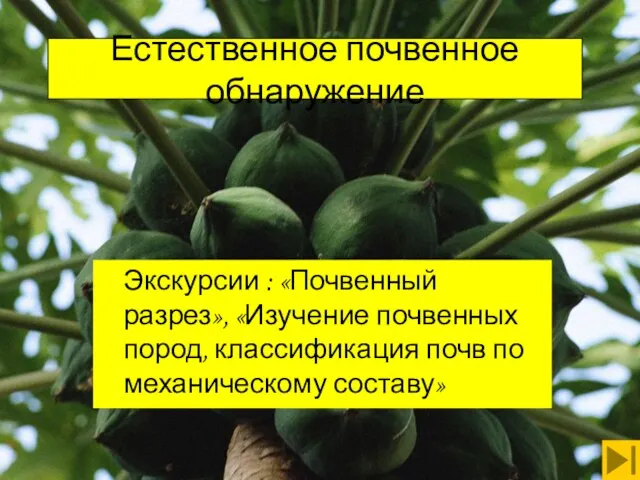 Естественное почвенное обнаружение Экскурсии : «Почвенный разрез», «Изучение почвенных пород, классификация почв по механическому составу»