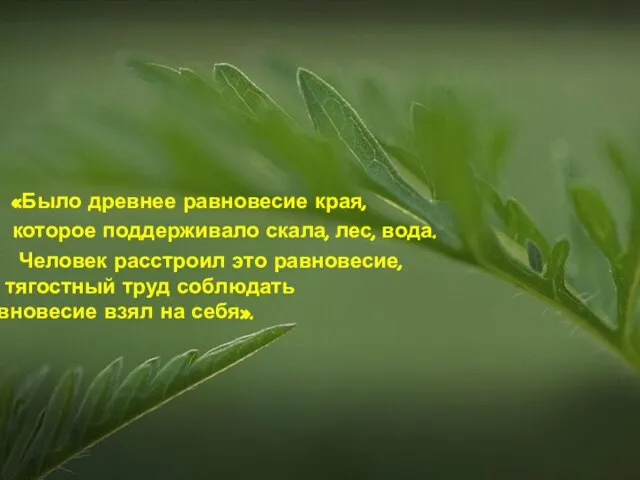 «Было древнее равновесие края, которое поддерживало скала, лес, вода. Человек расстроил это