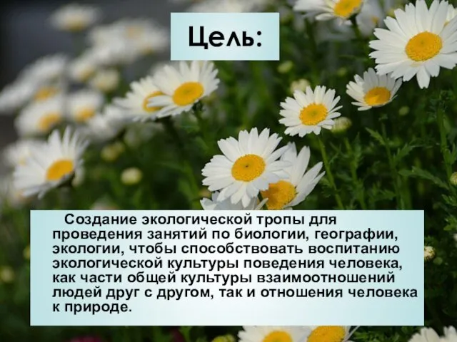 Цель: Создание экологической тропы для проведения занятий по биологии, географии, экологии, чтобы