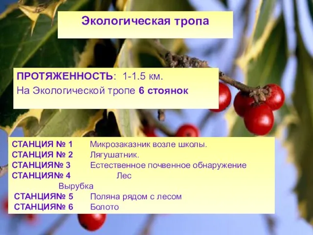 Экологическая тропа ПРОТЯЖЕННОСТЬ: 1-1.5 км. На Экологической тропе 6 стоянок СТАНЦИЯ №