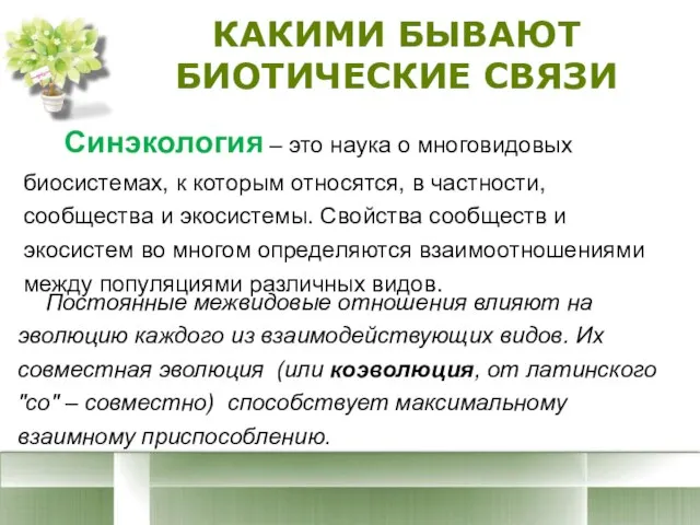 КАКИМИ БЫВАЮТ БИОТИЧЕСКИЕ СВЯЗИ Синэкология – это наука о многовидовых биосистемах, к