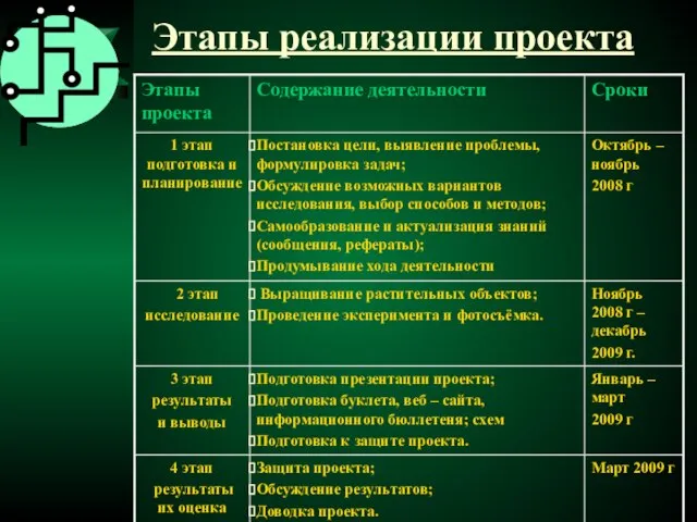 Этапы реализации проекта