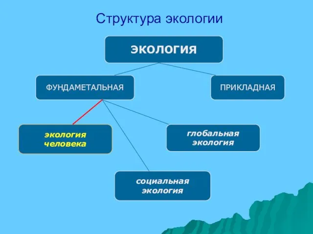 Структура экологии ЭКОЛОГИЯ ФУНДАМЕТАЛЬНАЯ ПРИКЛАДНАЯ экология человека социальная экология глобальная экология