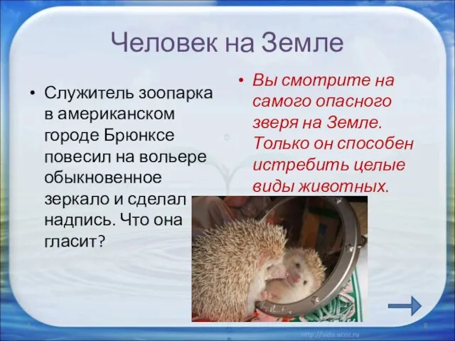 Человек на Земле Служитель зоопарка в американском городе Брюнксе повесил на вольере