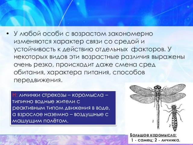 У любой особи с возрастом закономерно изменяются характер связи со средой и