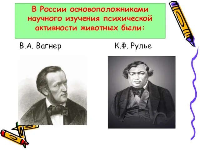 В России основоположниками научного изучения психической активности животных были: В.А. Вагнер К.Ф. Рулье