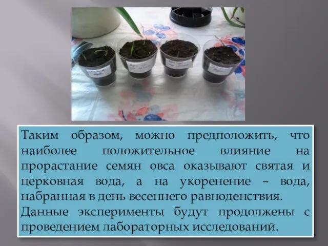 Таким образом, можно предположить, что наиболее положительное влияние на прорастание семян овса