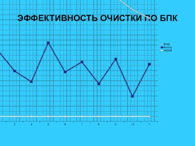 ЭФФЕКТИВНОСТЬ ОЧИСТКИ ПО БПК