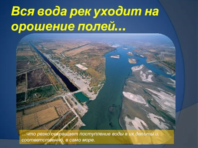 Вся вода рек уходит на орошение полей… …что резко сокращает поступление воды