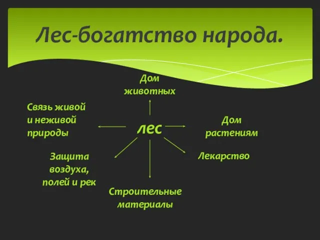 Лес-богатство народа. лес Связь живой и неживой природы Дом животных Дом растениям