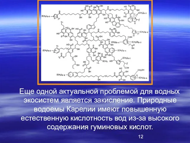 Еще одной актуальной проблемой для водных экосистем является закисление. Природные водоемы Карелии