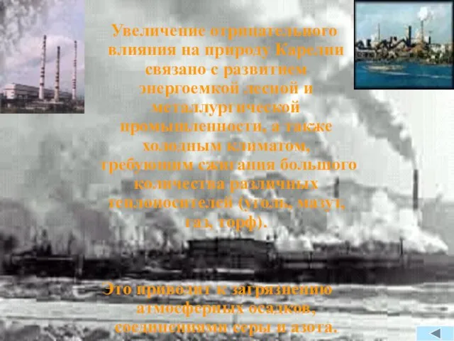 Увеличение отрицательного влияния на природу Карелии связано с развитием энергоемкой лесной и