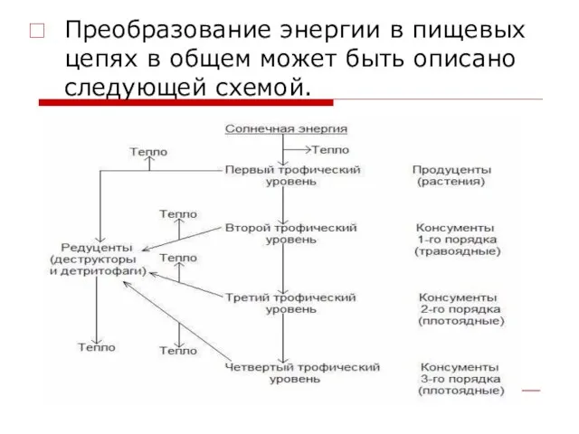 Преобразование энергии в пищевых цепях в общем может быть описано следующей схемой.