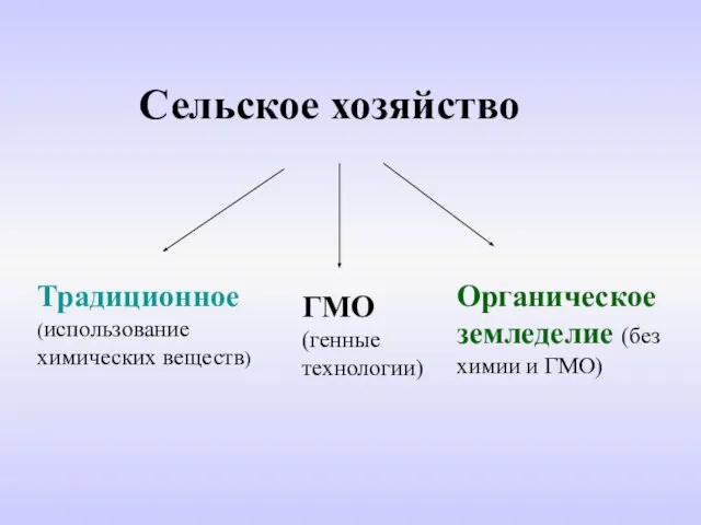 Сельское хозяйство Традиционное (использование химических веществ) ГМО (генные технологии) Органическое земледелие (без химии и ГМО)