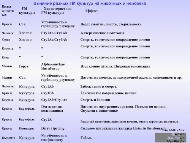 Ban GMOs Now DrDr. Dr. Mae-WanDr. Mae-Wan Dr. Mae-Wan Ho Влияние разных