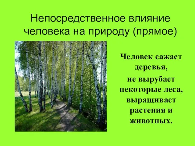 Непосредственное влияние человека на природу (прямое) Человек сажает деревья, не вырубает некоторые