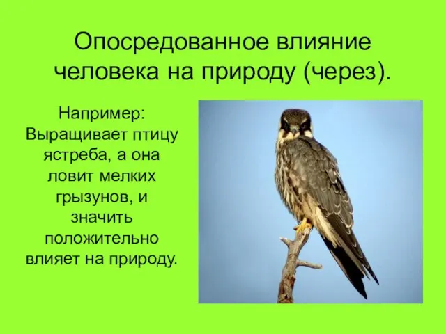 Опосредованное влияние человека на природу (через). Например: Выращивает птицу ястреба, а она