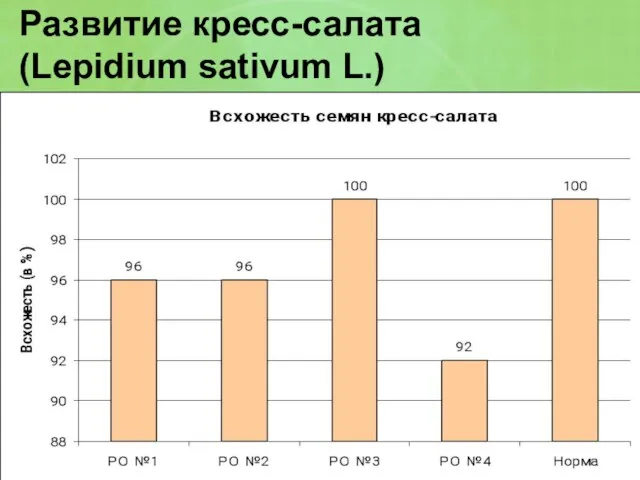 Развитие кресс-салата (Lepidium sativum L.)