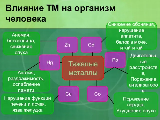 Влияние ТМ на организм человека Co Тяжелые металлы Анемия, бессонница, снижение слуха