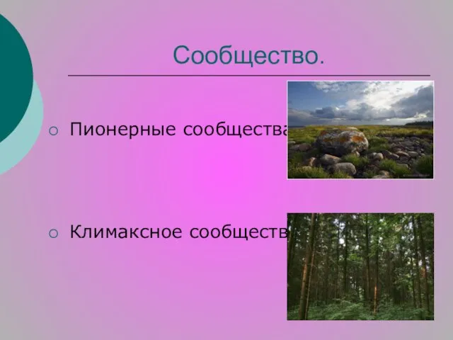 Сообщество. Пионерные сообщества Климаксное сообщество