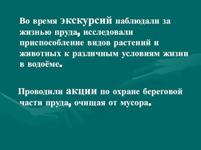 Во время экскурсий наблюдали за жизнью пруда, исследовали приспособление видов растений и