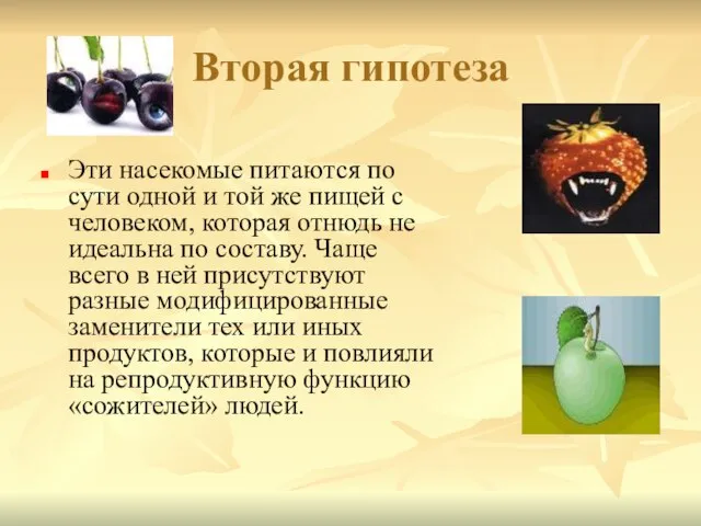 Вторая гипотеза Эти насекомые питаются по сути одной и той же пищей