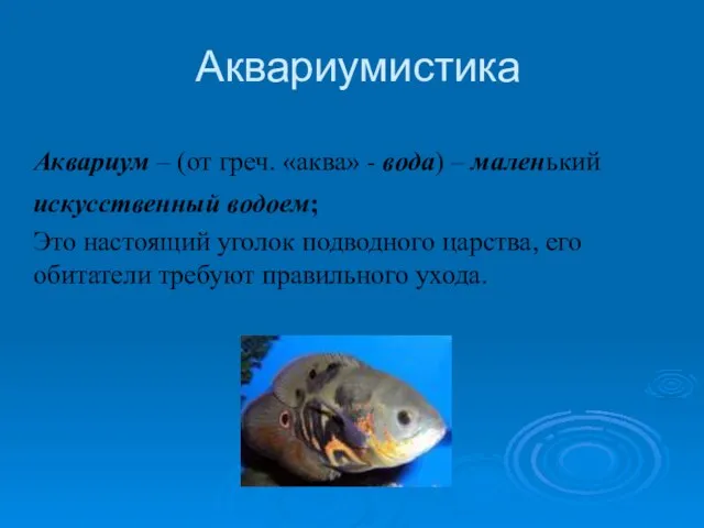 Аквариумистика Аквариум – (от греч. «аква» - вода) – маленький искусственный водоем;