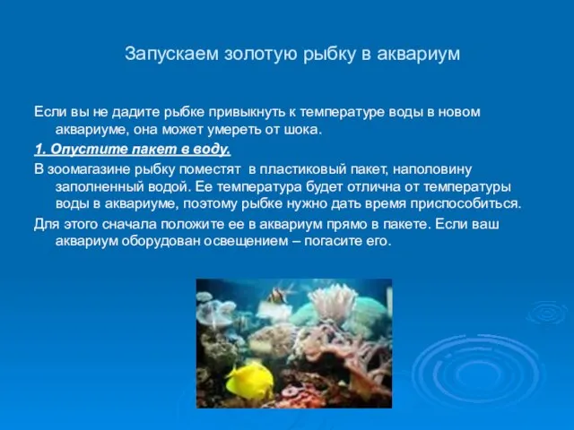 Запускаем золотую рыбку в аквариум Если вы не дадите рыбке привыкнуть к