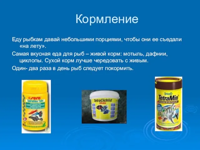 Кормление Еду рыбкам давай небольшими порциями, чтобы они ее съедали «на лету».