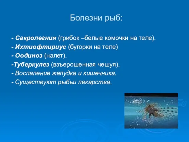 Болезни рыб: - Сакролегния (грибок –белые комочки на теле). - Ихтиофтириус (бугорки