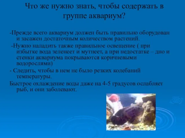 Что же нужно знать, чтобы содержать в группе аквариум? -Прежде всего аквариум